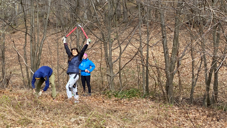 Pflegetermin Naturdenkmal Hellwiese, © Naturschutzbund NÖ Pflegetermin Naturdenkmal Hellwiese, © Naturschutzbund NÖ