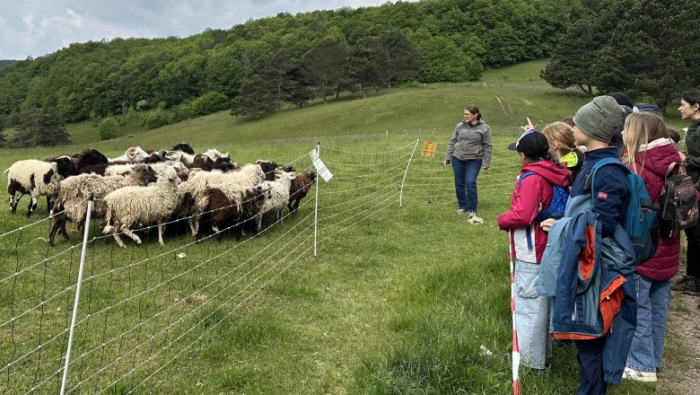 Schäferin Christa Veits, © EWeiszEmesz Schäferin Christa Veits, © EWeiszEmesz