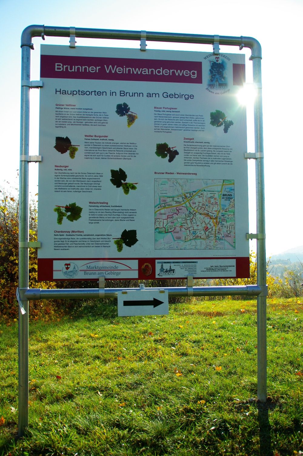 Schautafel mit Rebsorte