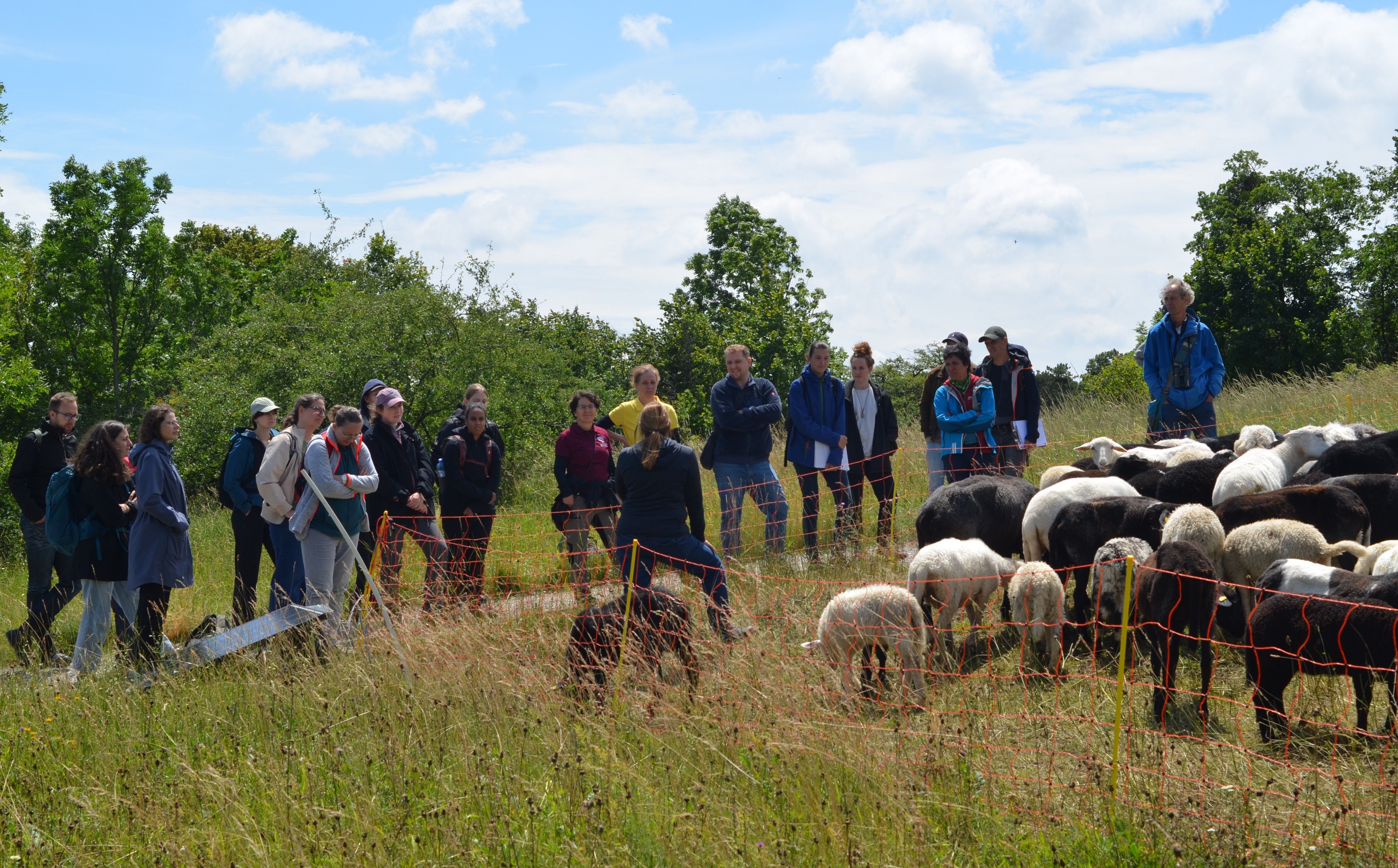Christa Veits erzählt von ihrer Arbeit als Schäferin