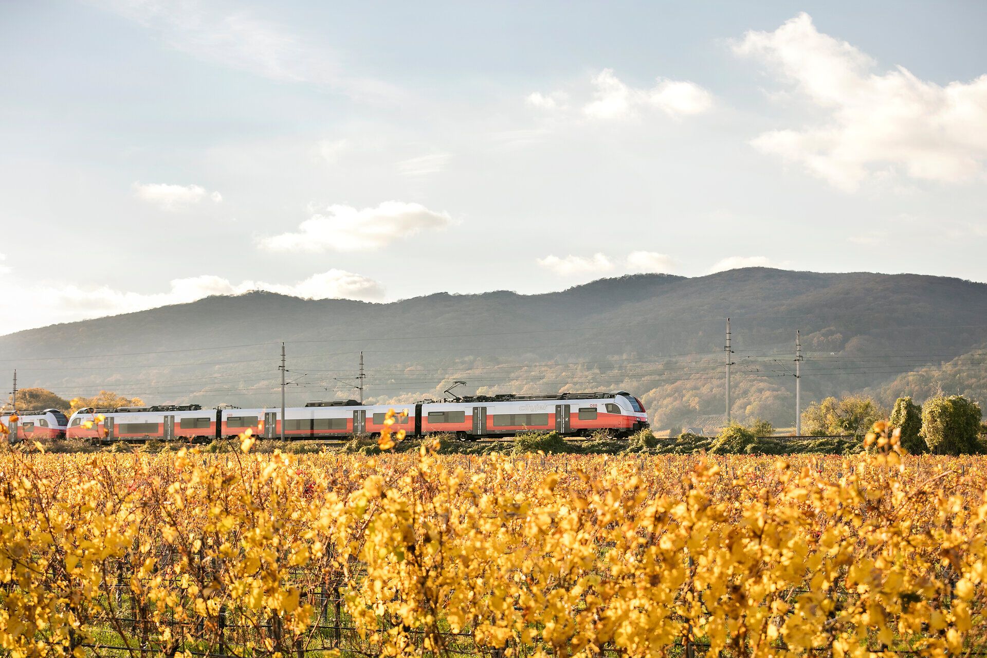 Die sanften Hügel der Weinregion laden zu einer entspannenden Zugfahrt ein, während die goldenen Weinreben im warmen Licht der Nachmittagssonne leuchten. Ein unvergessliches Erlebnis, das die Schönheit der Natur und die Freude am Reisen vereint.
