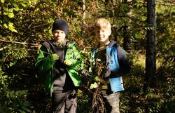 Schüler präsentieren stolz ihre von der Flächen entfernten Liguster (Ligustrum vulgare)