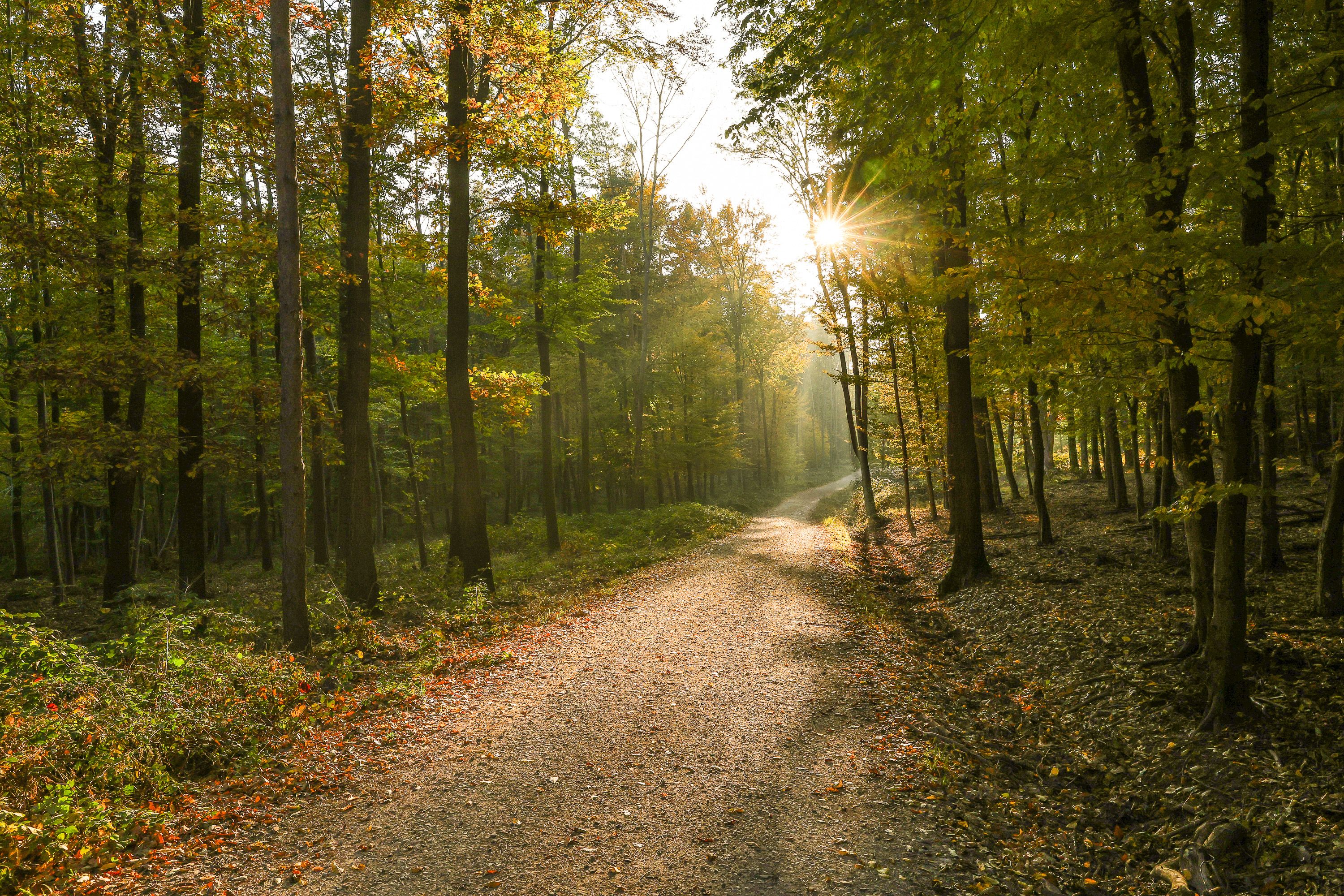 Natupark Sparbach