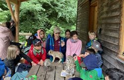 Naturvermittlerin zeigt Kindern Tierpräparate