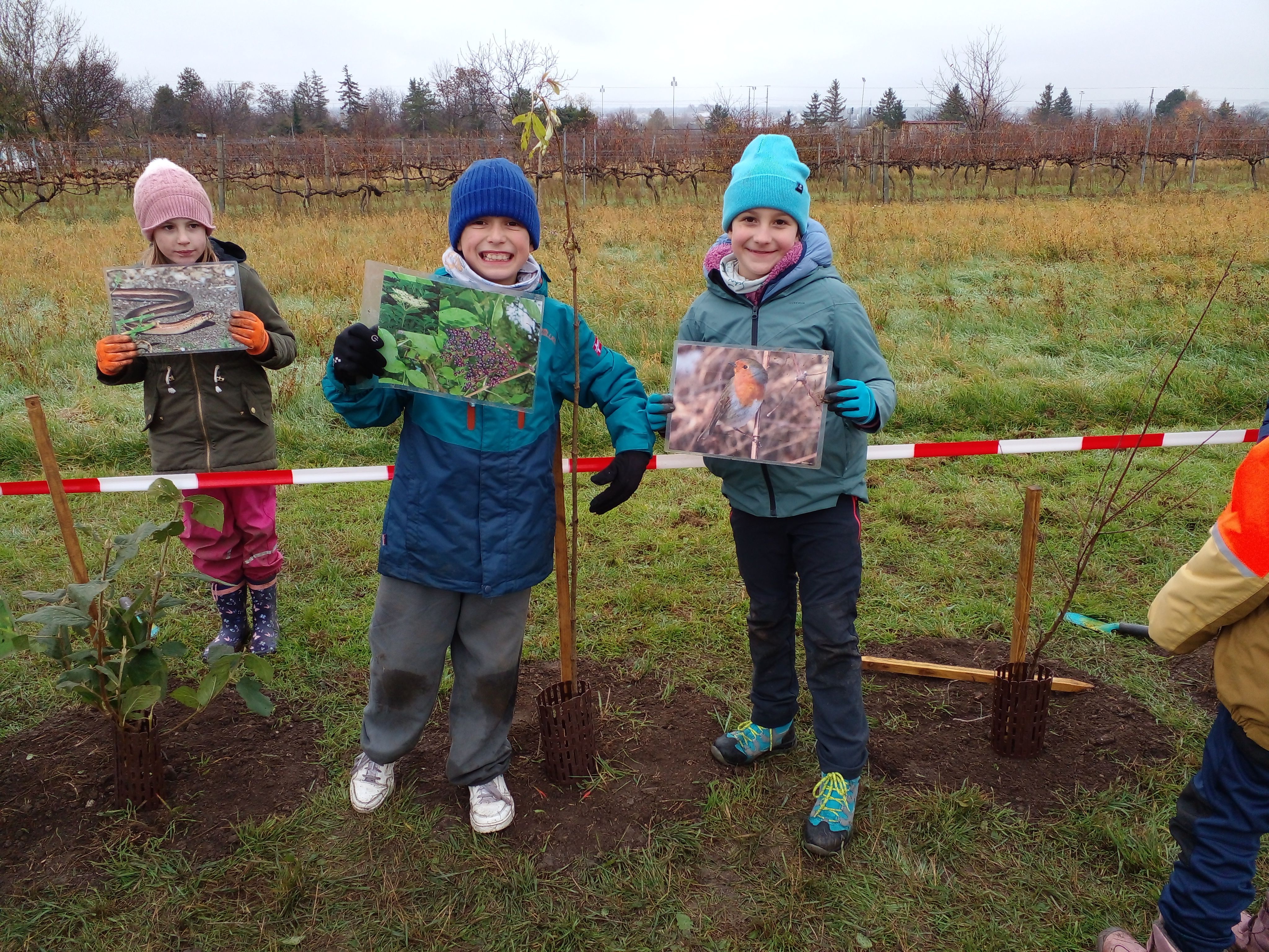 Kinder zeigen Bildfolien zu den eingesetzten Gehölzen.