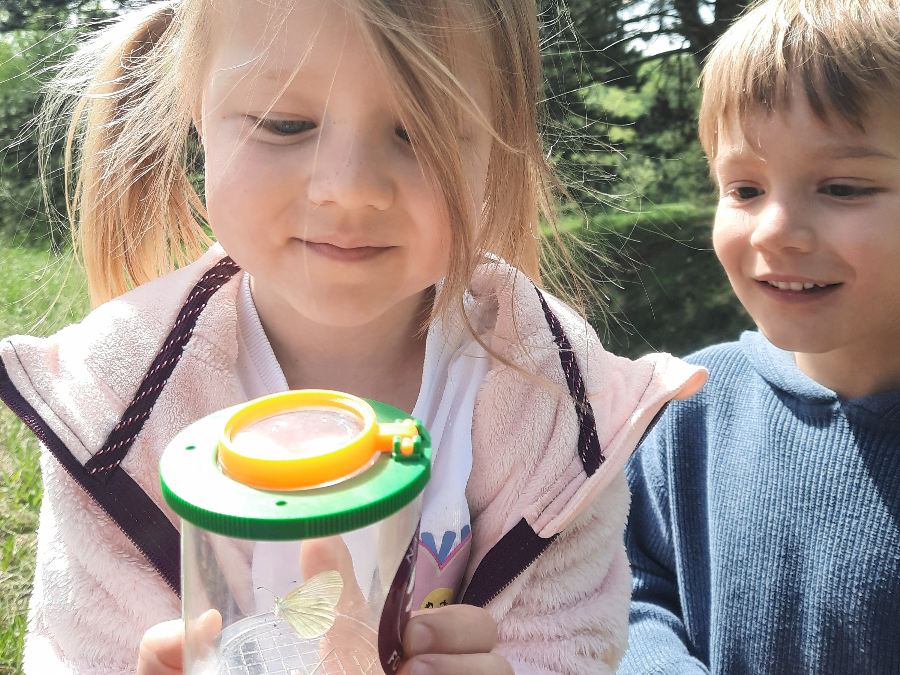 Kinder beobachten Schmetterling in der Becherlupe