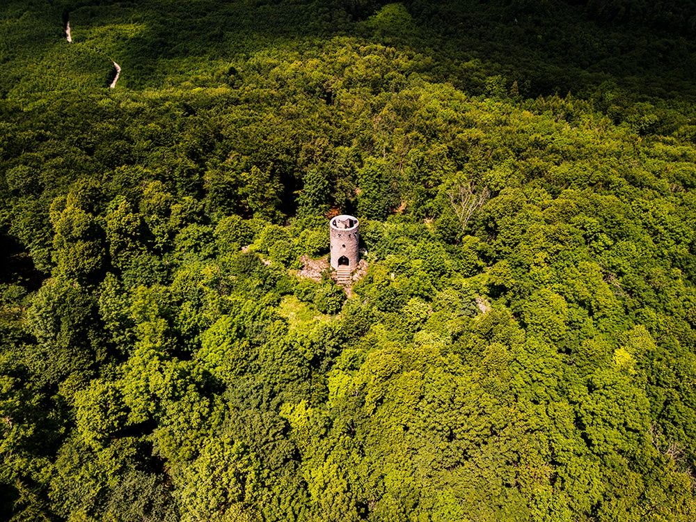 Wilhelmswarte _ Die Türme des Wienerwaldes