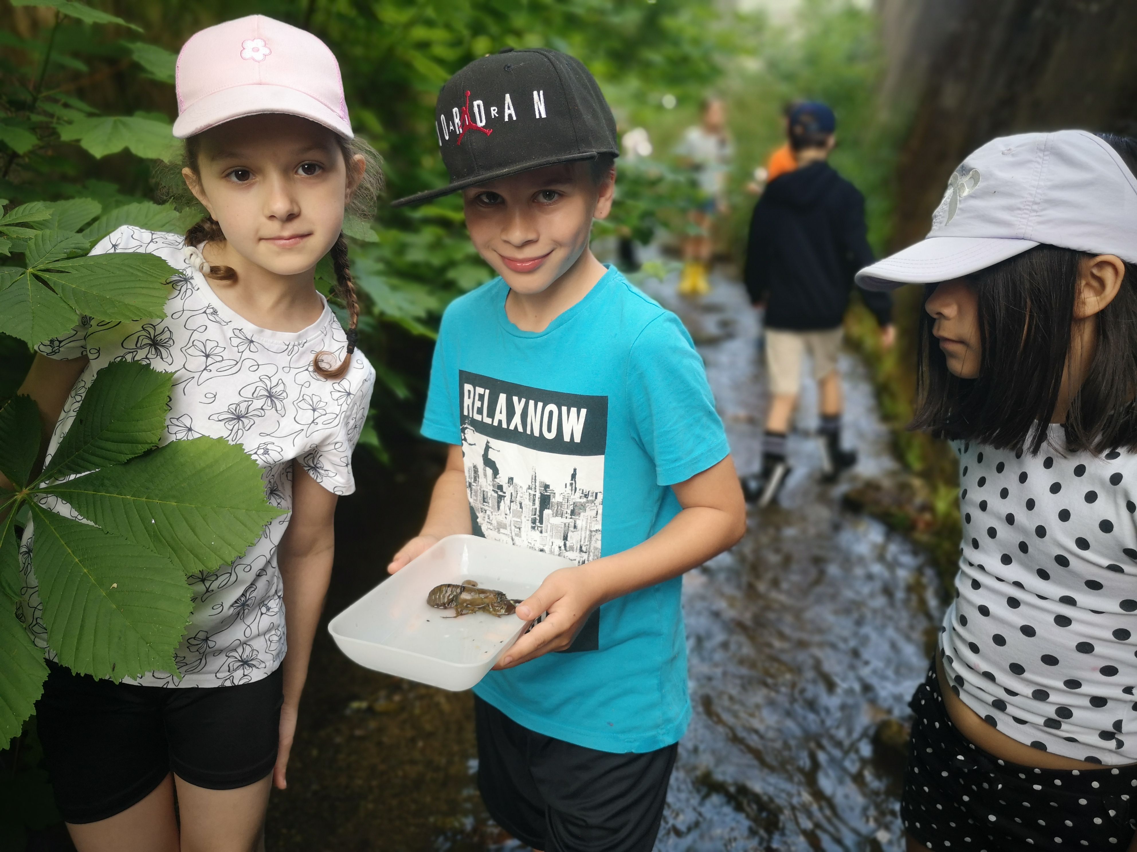 Kinder mit Keschern in Dürren Liesing