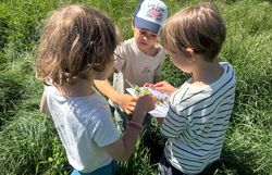 Kinder sammeln Wiesenpflanzen