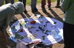 Kinder betrachten Anschauungsmaterial auf Decke.