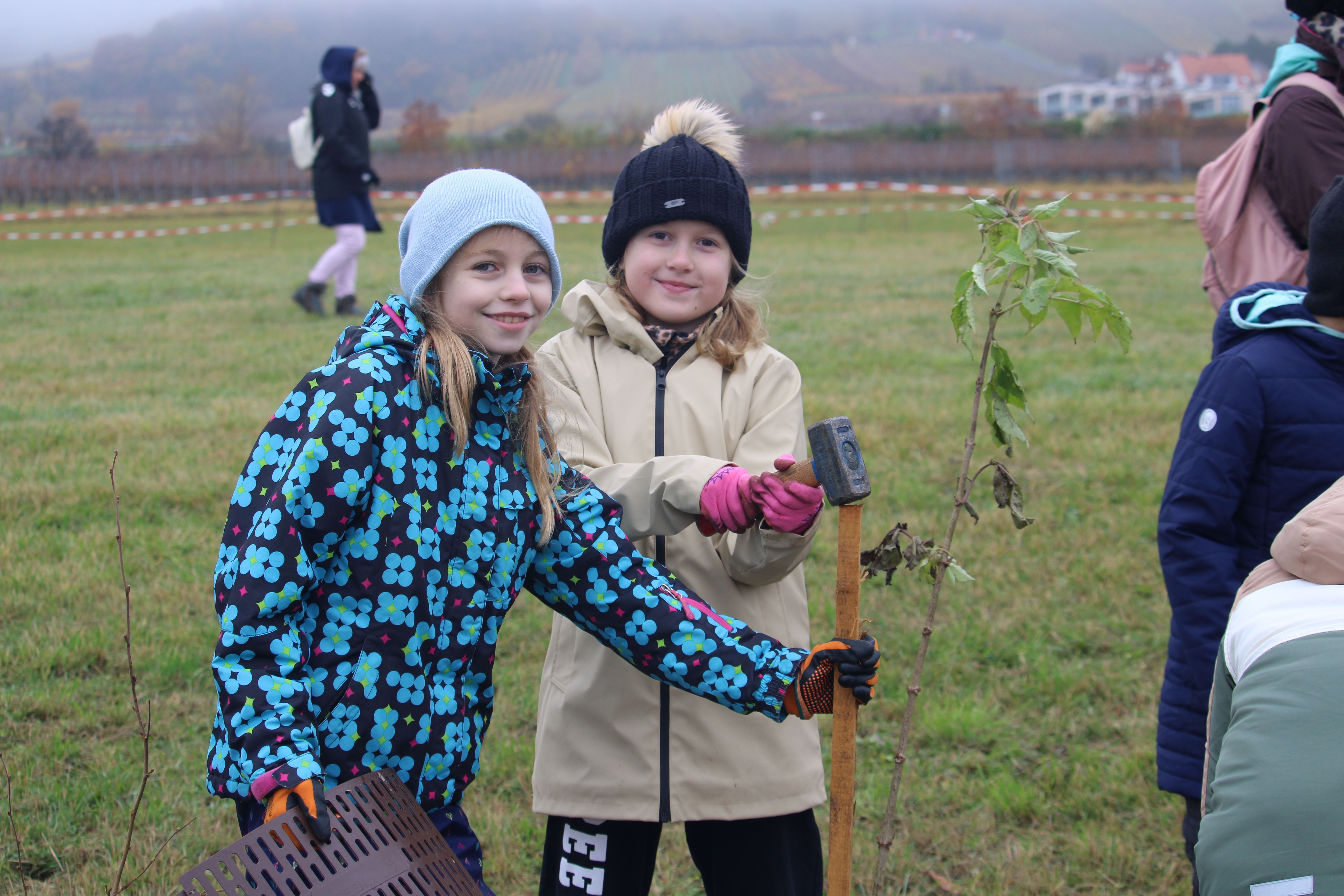 Kinder schlagen einen Pflock, als Windschutz für die Gehölze, ein.