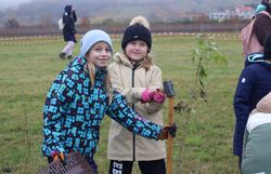 Kinder schlagen einen Pflock, als Windschutz für die Gehölze, ein.