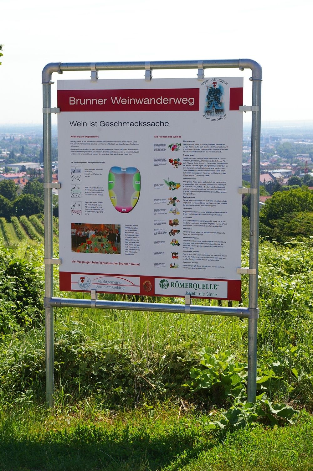 Schautafel - Wein ist Geschmacksache