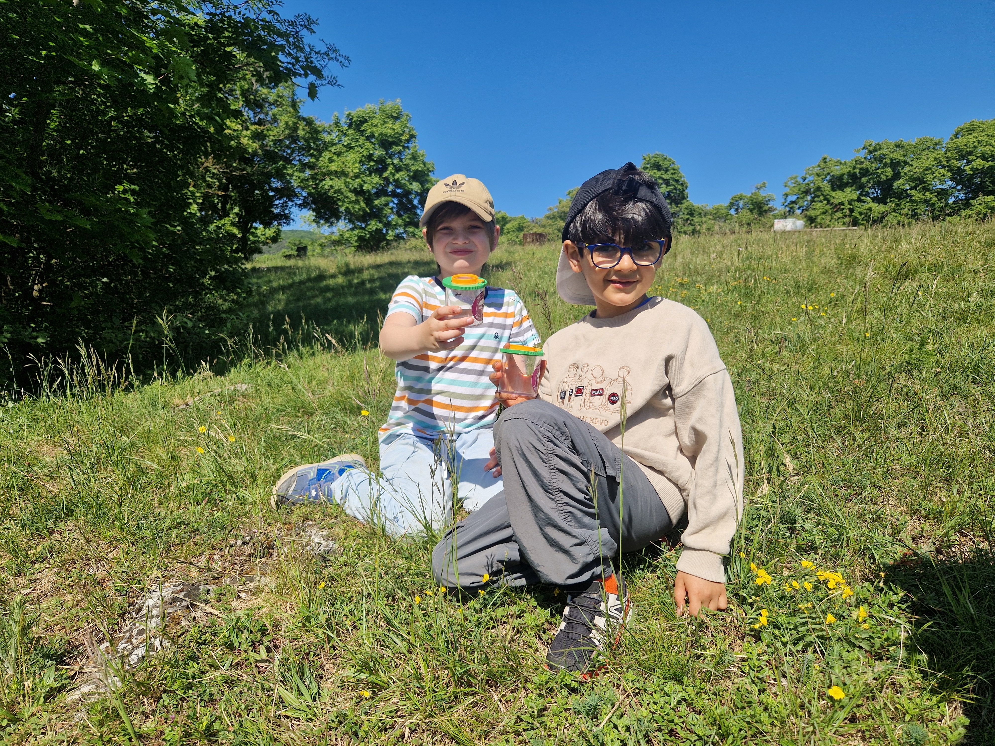 Kinder präsentieren ihren Insektenfund