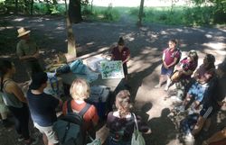 Naturvermittler:innen um Magnettafel