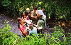 Naturvermittler mit Kindern in der Dürren Liesing