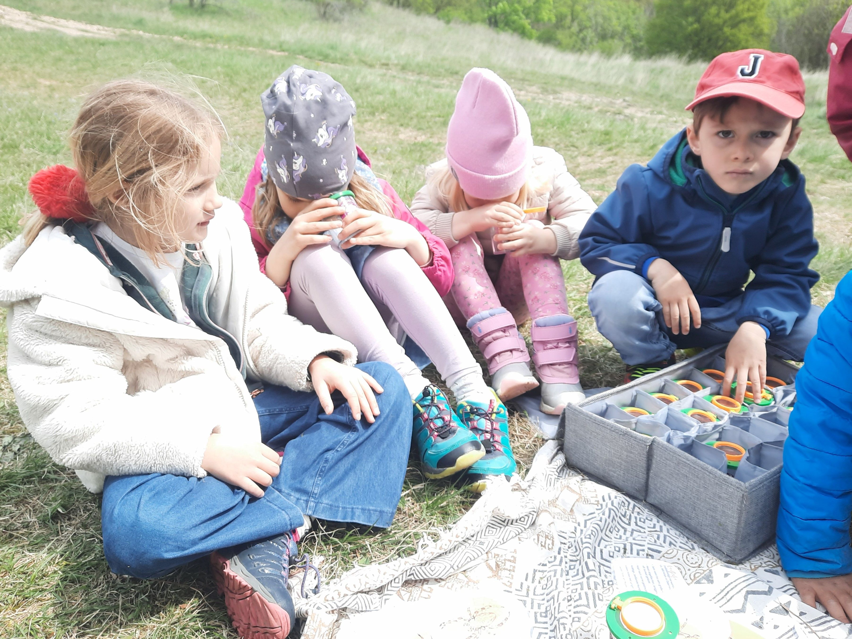 Kinder bestaunen die gefundenen Insekten