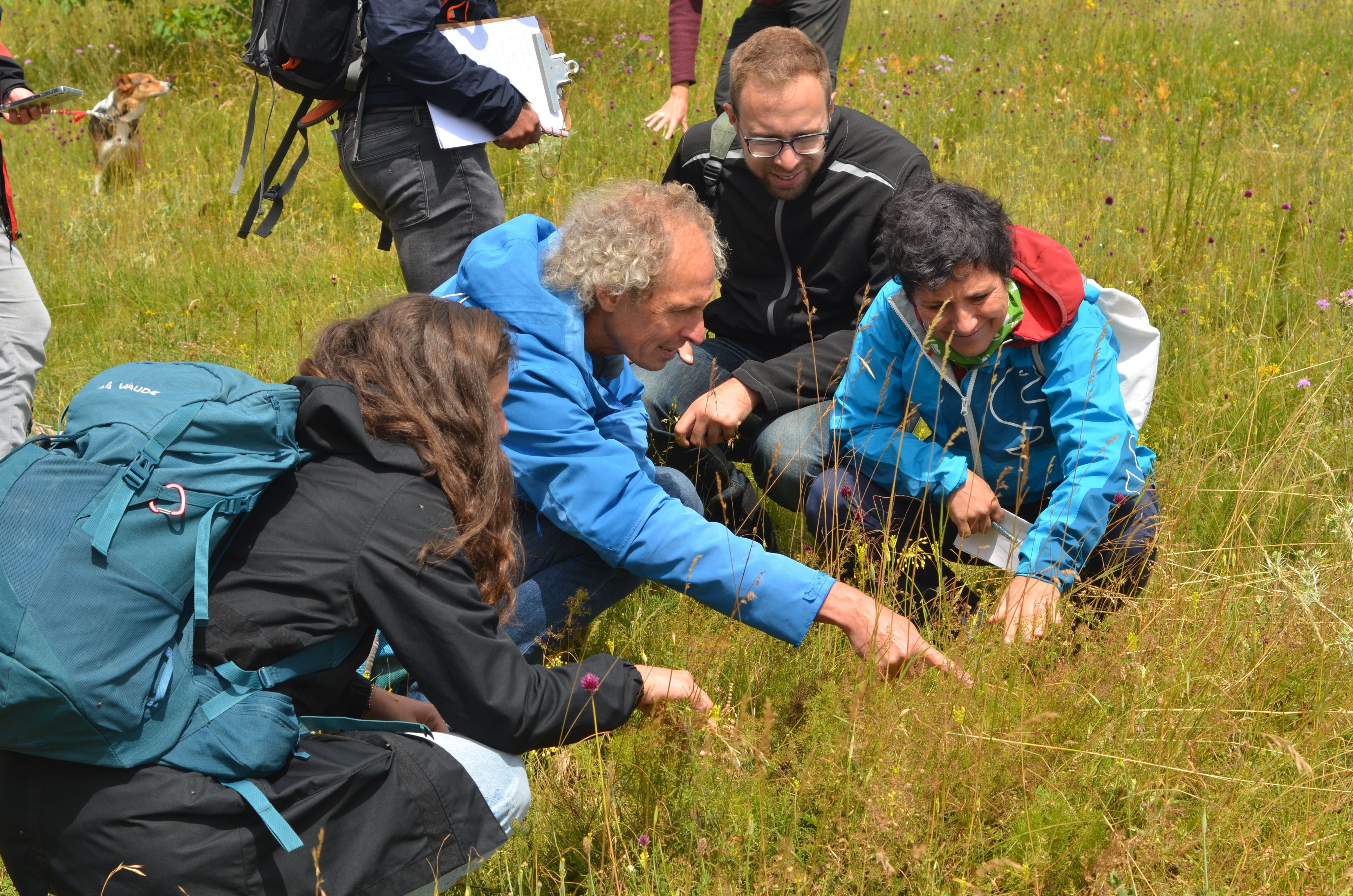 Teilnehmer:innen erkunden Insekten
