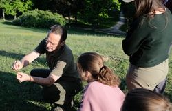 Biologe Alex bespricht wichtige Gräser und Kräuter der Wiese mit den Naturvermitter:innen