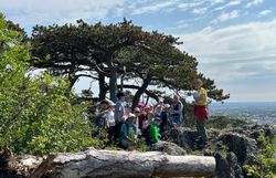 Hoch über Mödling erzählt Naturpädagogin Nora spannendes über die Ruinen am Kalenderberg.