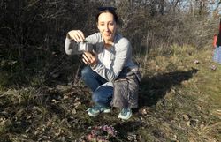 Suche mit Becherlupen auf dem Trockenrasen