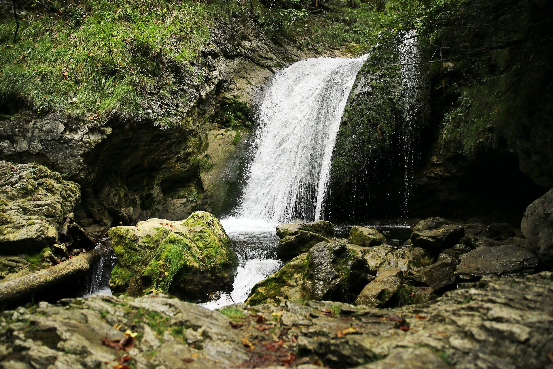 Ein sanft plätschernder Wasserfall umrahmt von üppigem Grün lädt zu einer erfrischenden Auszeit in der Natur ein. Die klare, sprudelnde Quelle verspricht ein unvergessliches Erlebnis für Wanderer und Naturliebhaber. Hier, im Herzen des Naturparks Ötscher-Tormäuer, entfaltet sich die Schönheit der alpinen Landschaft.
