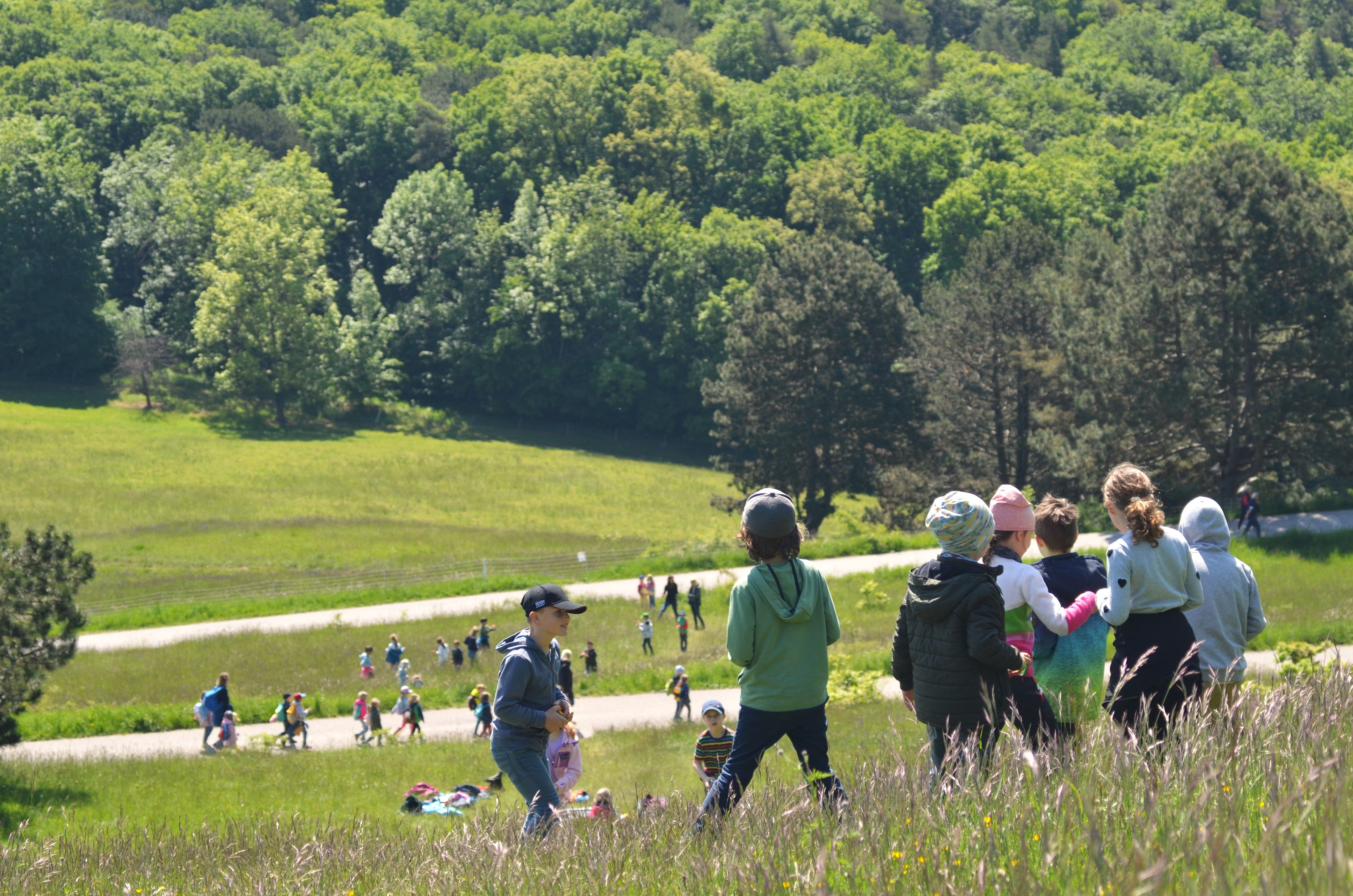 Blick über die Gießhübler Heide mit vielen Kindern