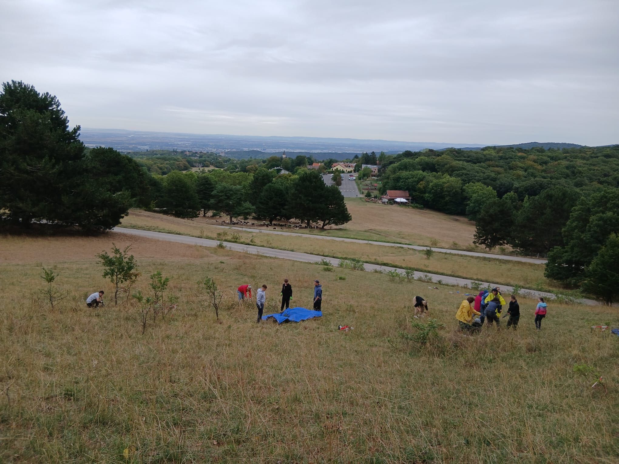 Gießhübler Heide - Blick nach Gießhübl