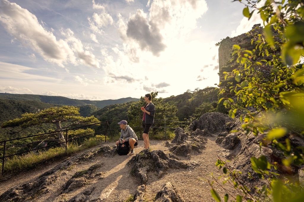 Wandern im Wienerwald