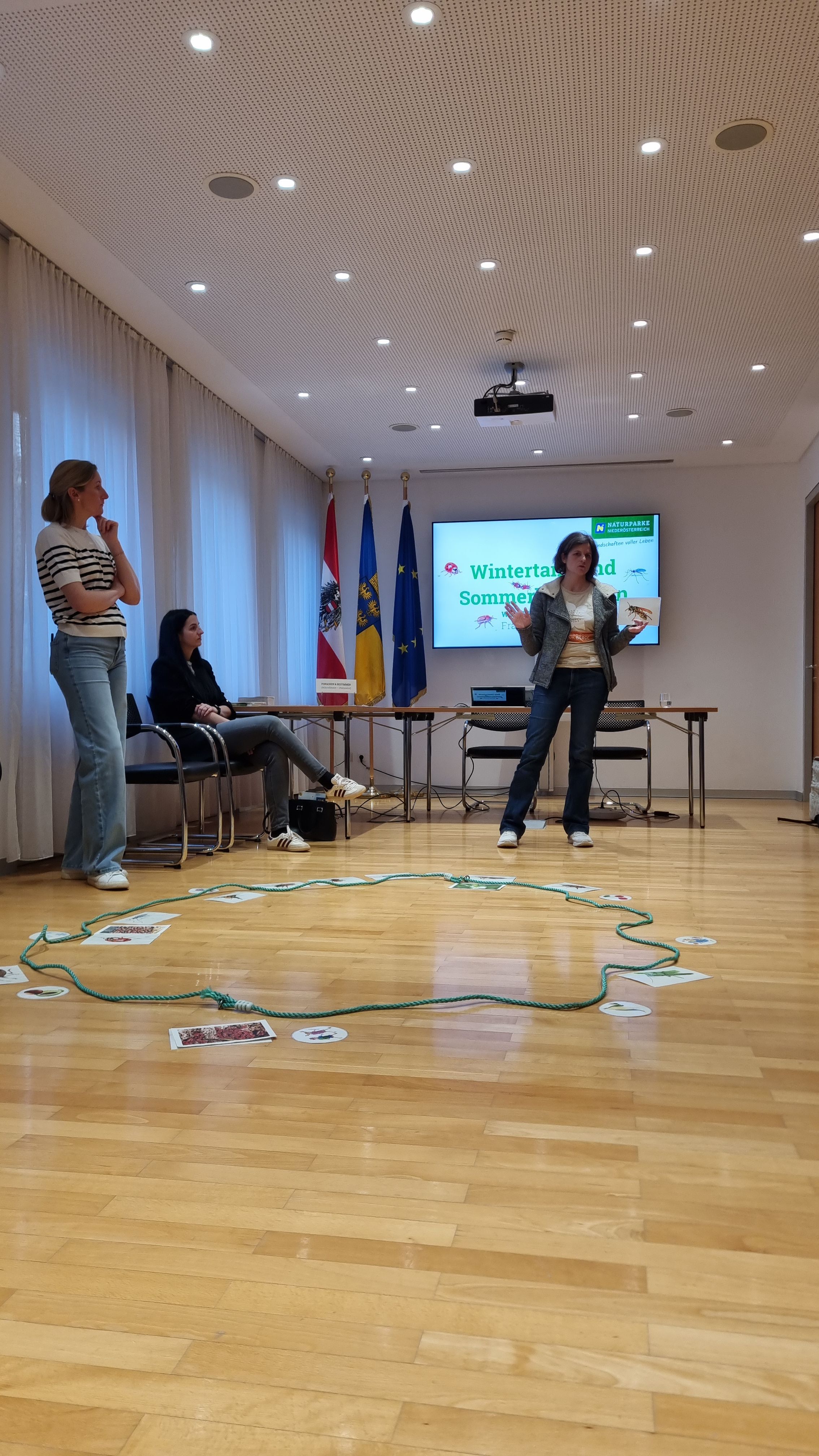 Teilnehmer:innen legen die Sichbarkeit von bestimmten Insekten im Jahresverlauf auf