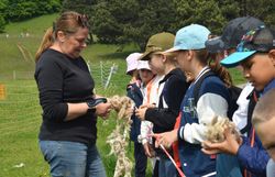 Schäferin und Kinder erfühlen die Schafswolle mit allen Sinnen.