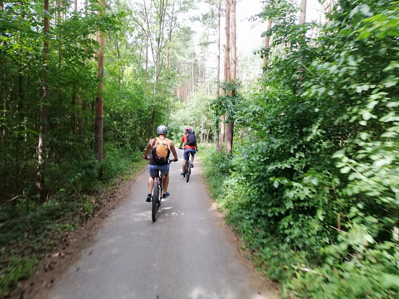 Klöster Kaiser Künstler Tour - auf der Helenentalstrecke