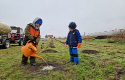 Kinder gießen die eingepflanzten Heckenpflanzen.