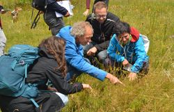 Teilnehmer:innen erkunden Insekten