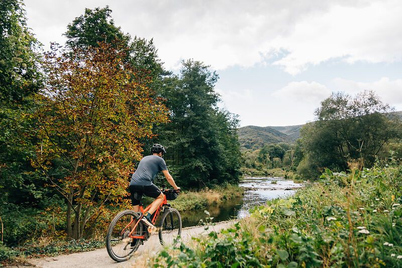 Cycling, Cycling Along the Water, Vienna Woods