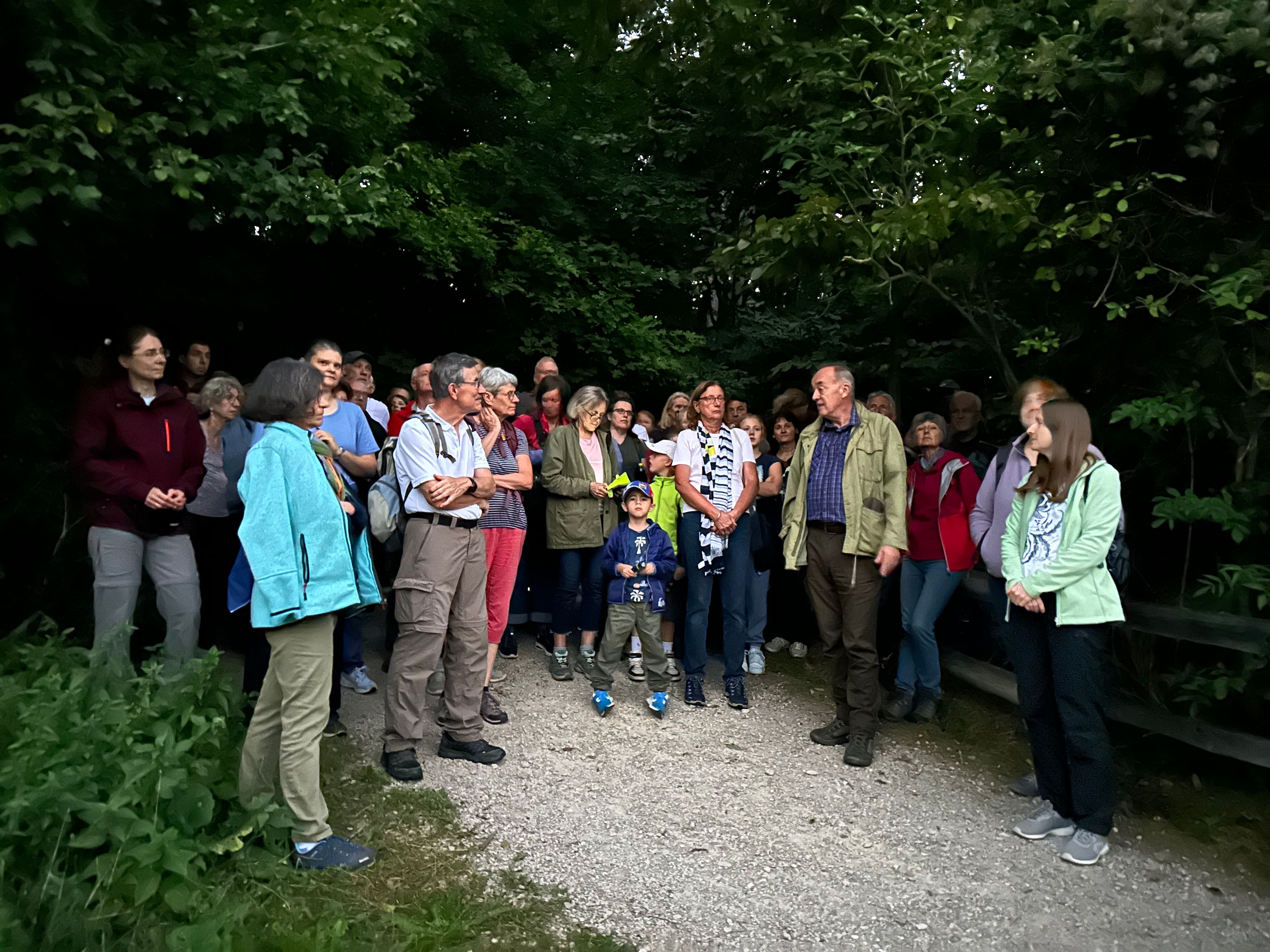 Teilnehmer:innen versammeln sich um Leo Lindebner (Stadtrat für Forst, Mödling), welcher interessante Einblicke in den Mödlinger Stadtwald gibt.