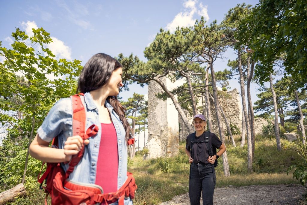 Wandern im Wienerwald