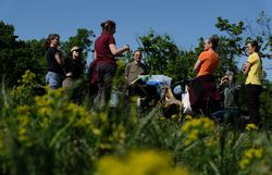 Start in die Fortbildung des Wiesenprogramms