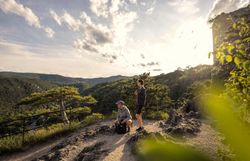 Die sanften Hügel des Wienerwaldes erstrecken sich majestätisch im Hintergrund, während die warmen Sonnenstrahlen die Wanderer umarmen. Umgeben von duftenden Kiefern und dem beruhigenden Klang der Natur, lädt dieser Ort dazu ein, die Seele baumeln zu lassen und die atemberaubende Aussicht zu genießen.