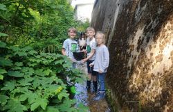 Kinder mit Keschern