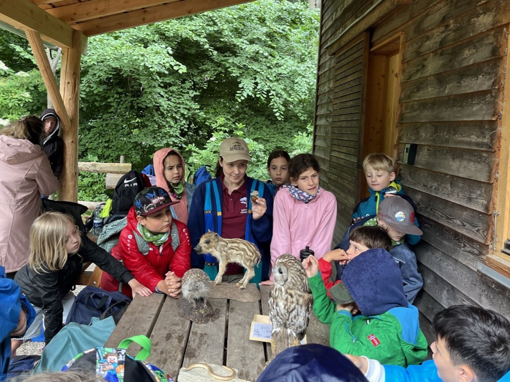 Naturvermittlerin zeigt Kindern Tierpräparate