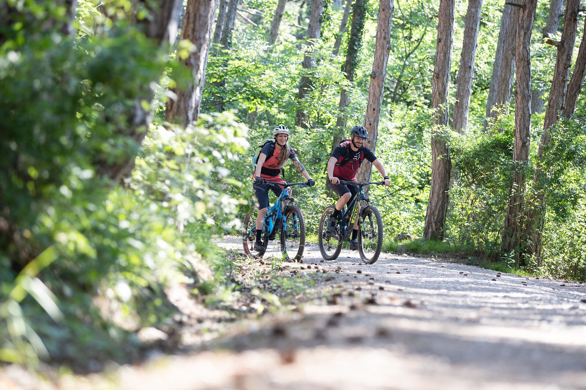 Zwei Mountainbiker genießen die frische Sommerluft im Wienerwald, umgeben von üppigem Grün und hohen Bäumen. Die sanften Hügel laden zu aufregenden Abenteuern ein, während die Sonne durch das Blätterdach strahlt und eine einladende Atmosphäre schafft.