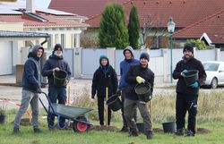 Praktikant:innen des Landschaftspflegevereins tatkräftig beim Heckenpflanzen.