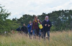Teilnehmer:innen spazieren über die Perchtoldsdorfer Heide