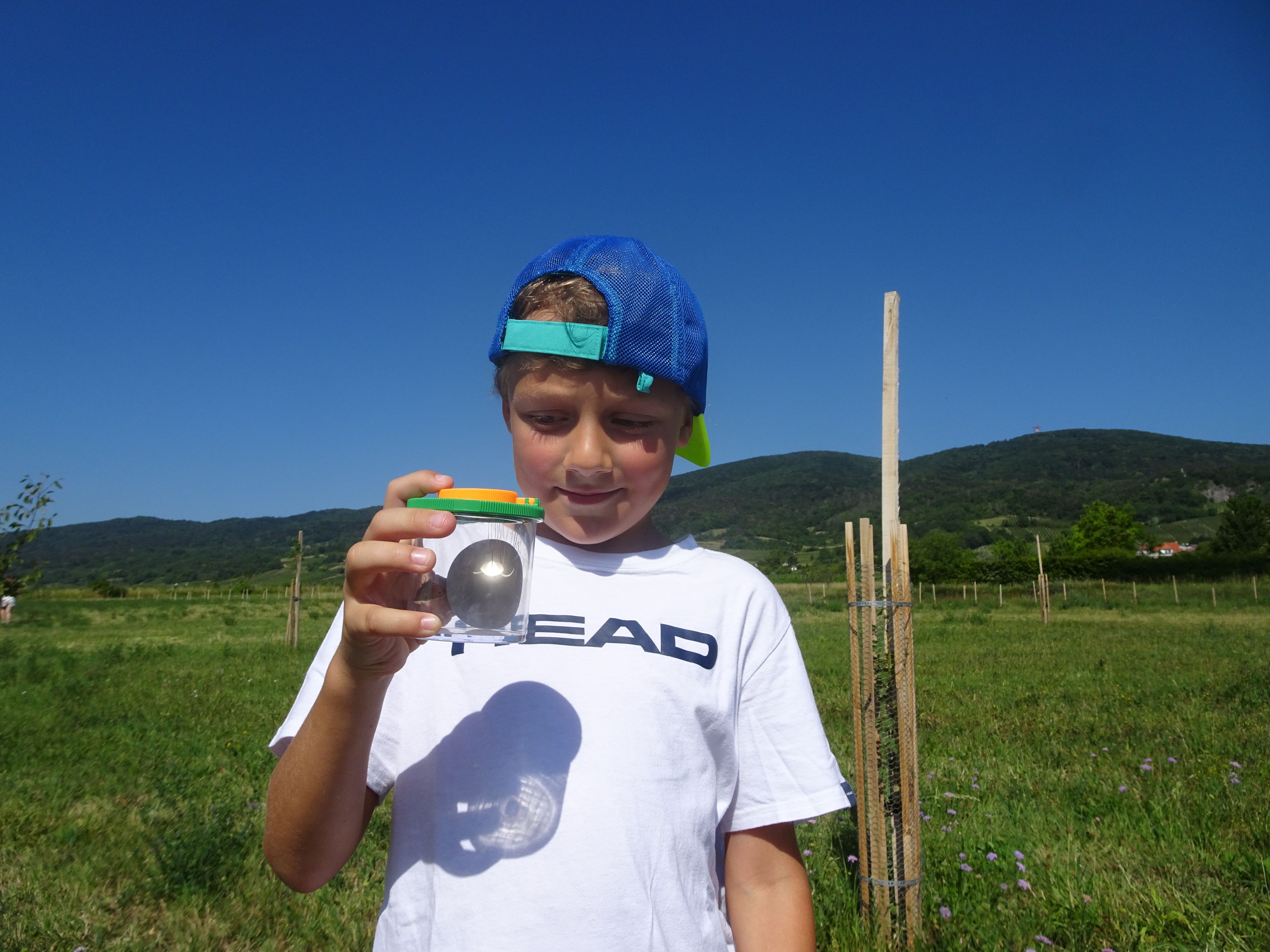 Kind mit Becherlupe