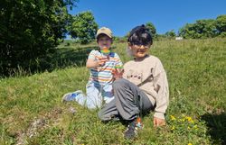 Kinder präsentieren ihren Insektenfund