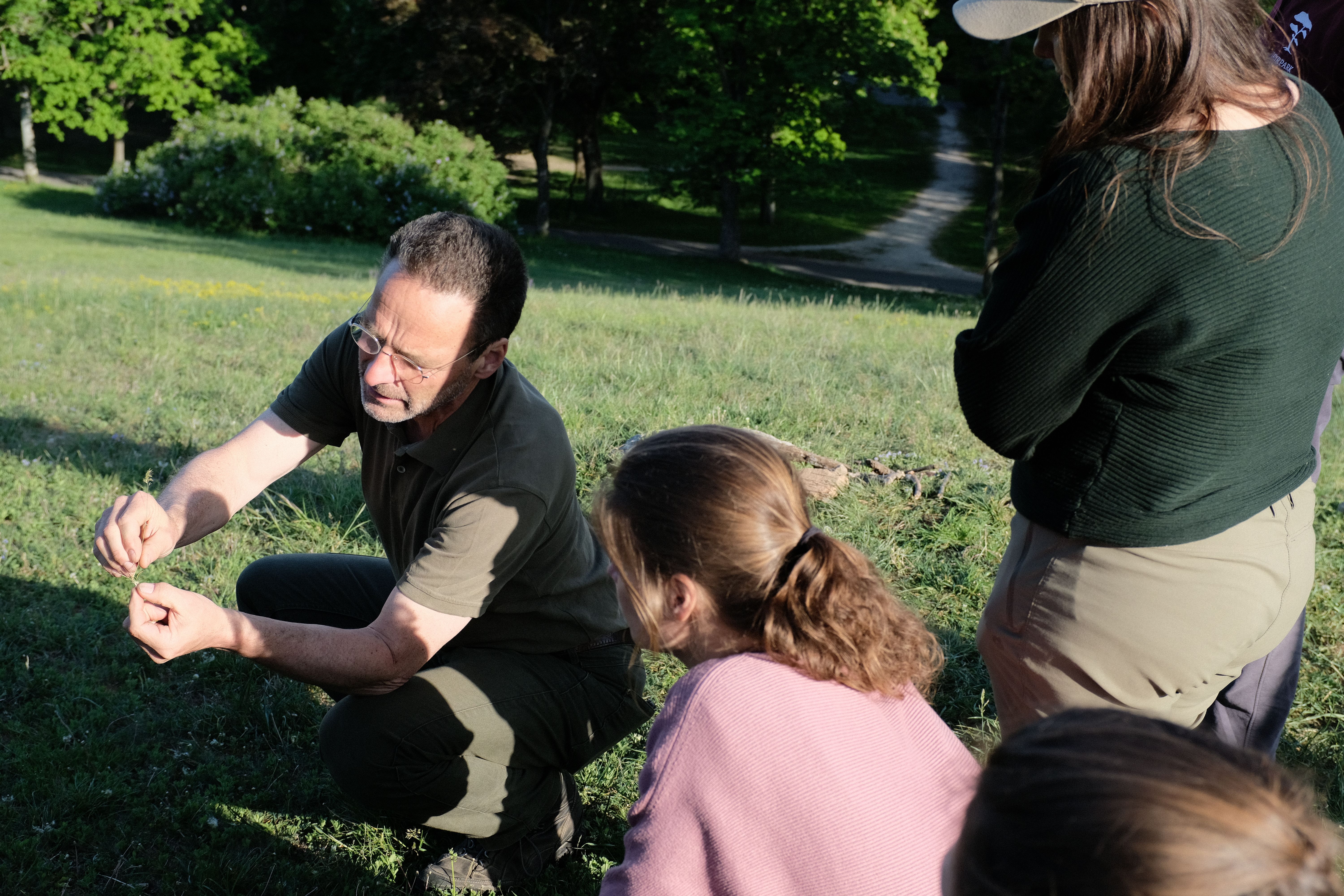 Biologe Alex bespricht wichtige Gräser und Kräuter der Wiese mit den Naturvermitter:innen