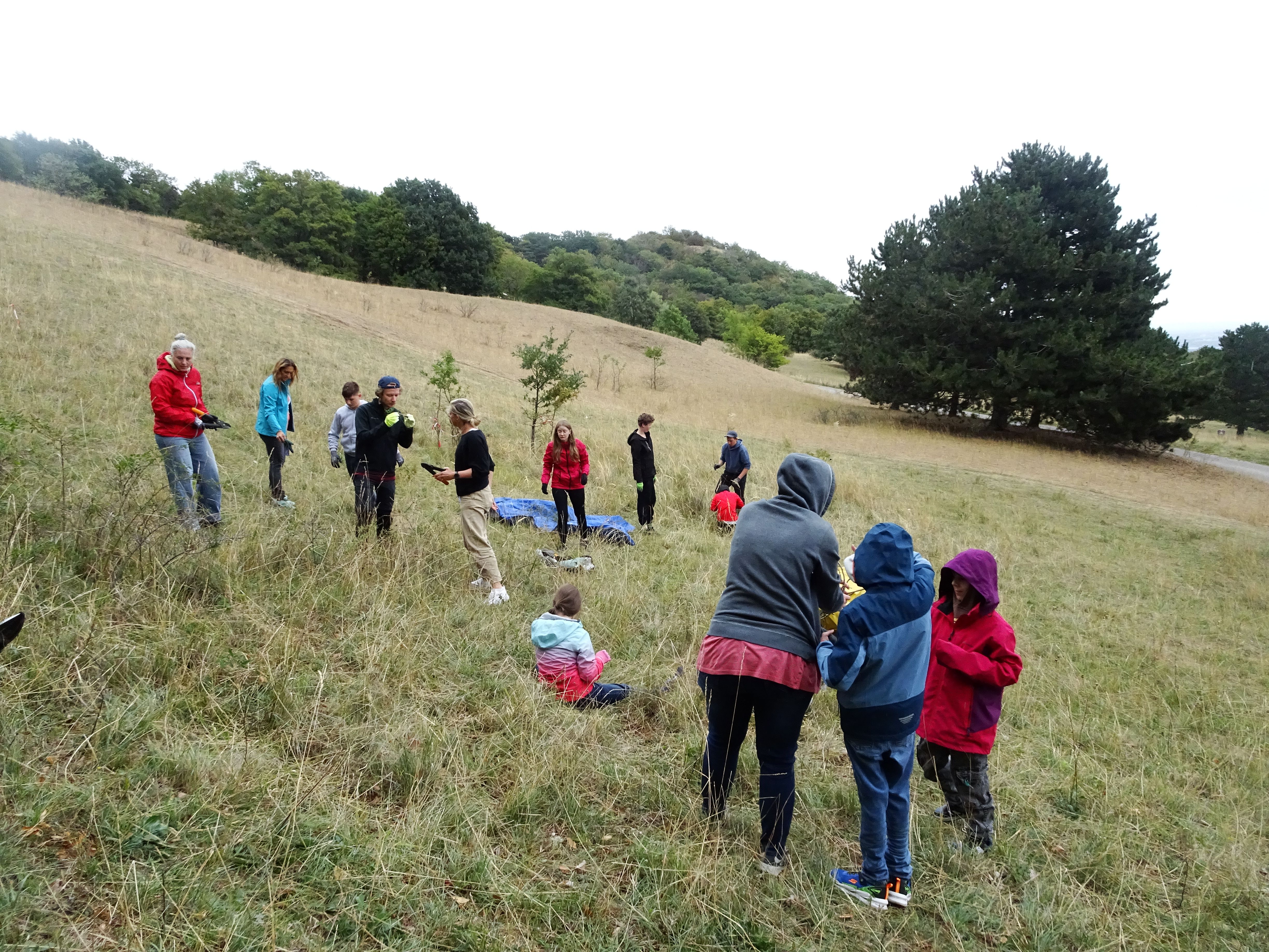 Personen beim pflegen der Gießhübler Heide