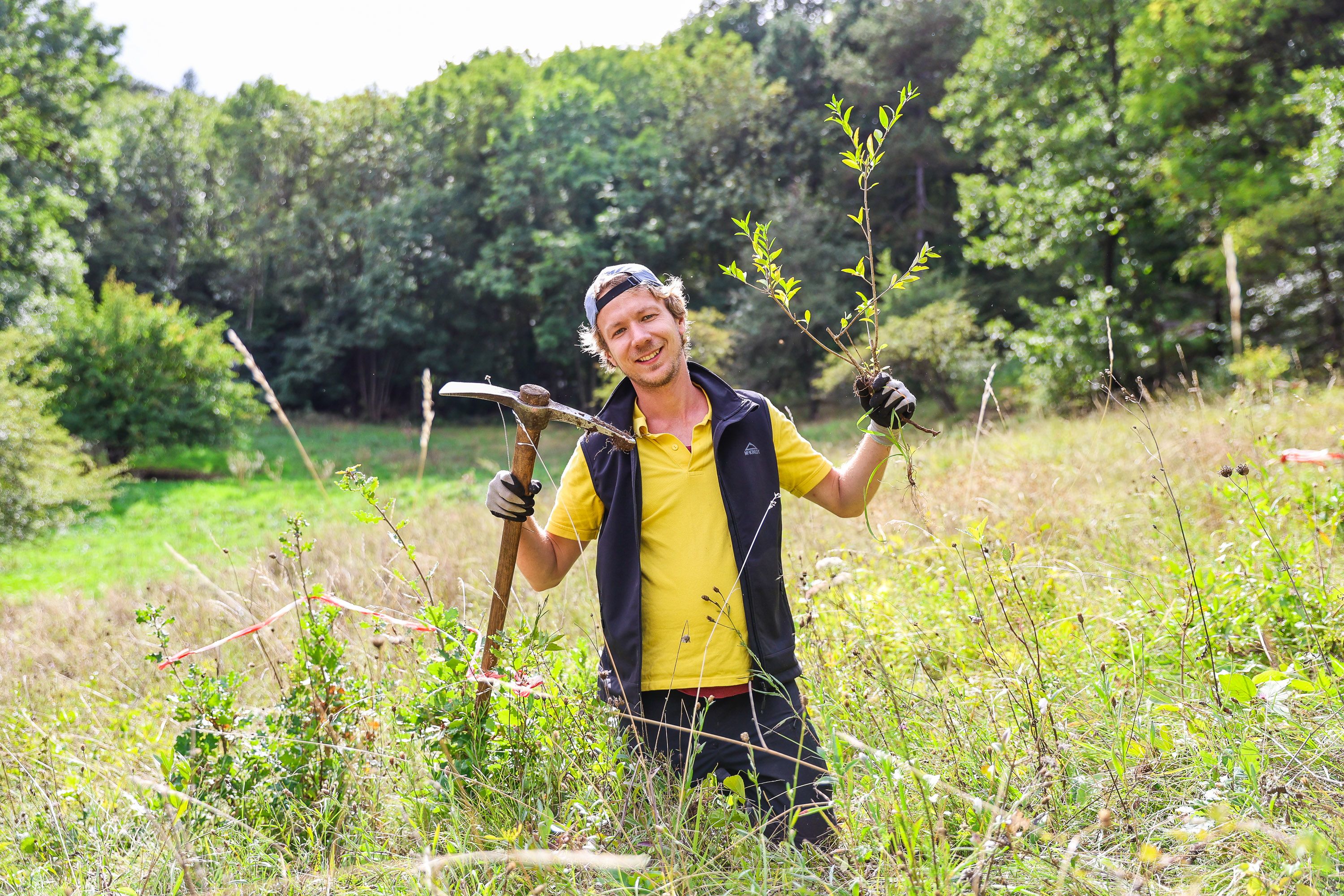 Person mit Krampen und jungem Gehölz in der Hand