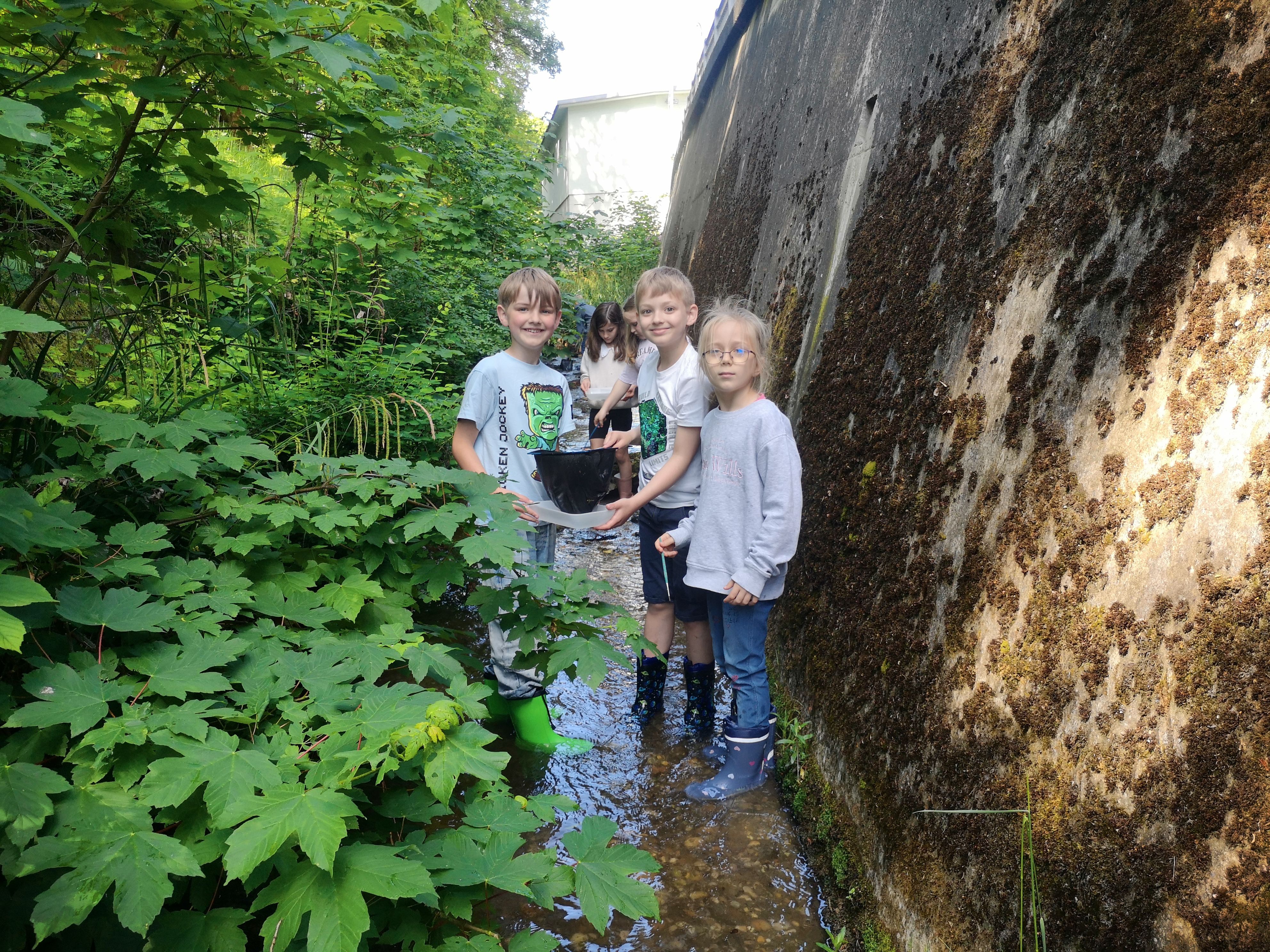 Kinder mit Keschern